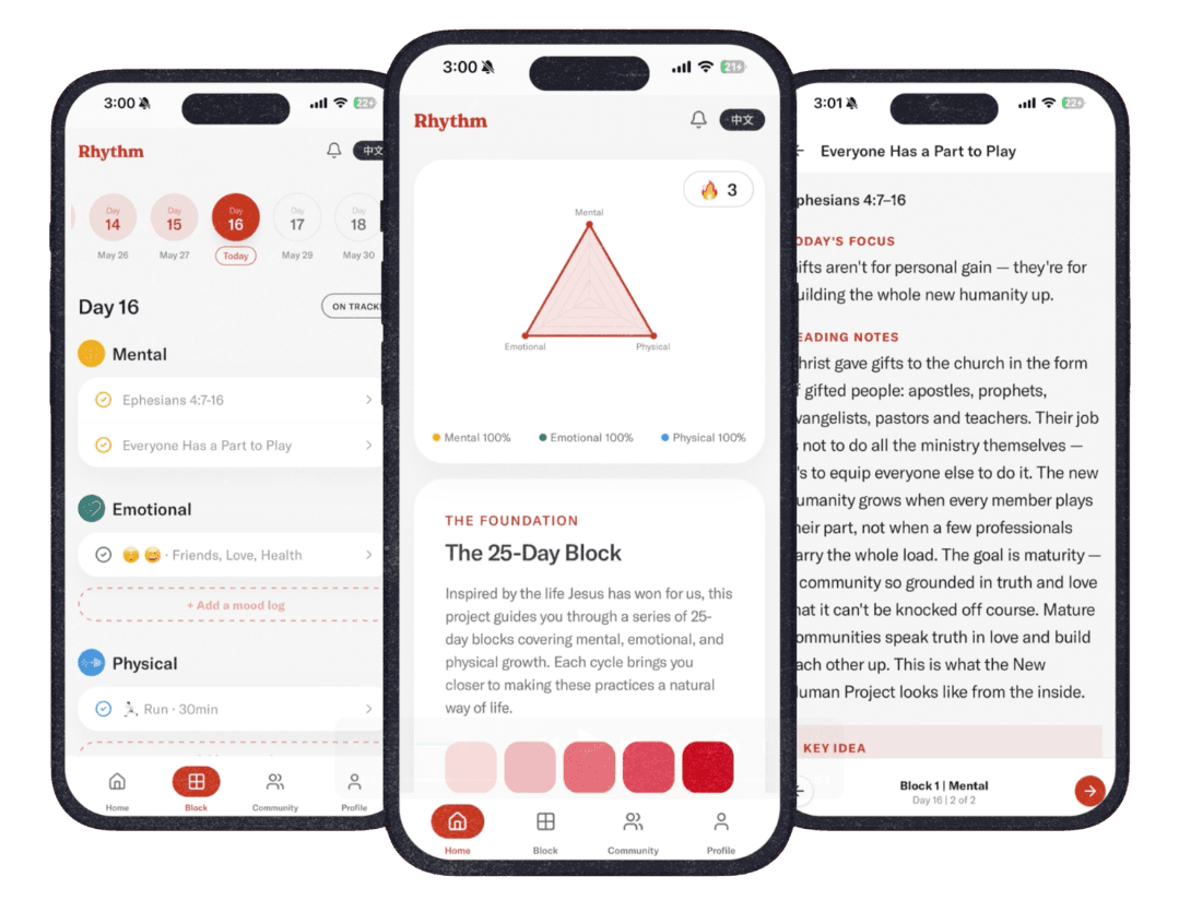 Rhythm app overview showing mental, emotional, and physical tracking